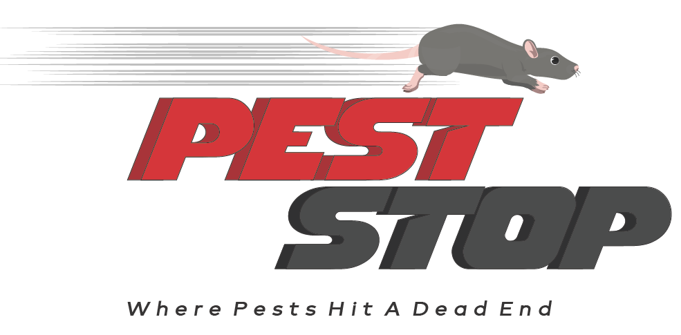Professional pest control service in London and surrounding areas