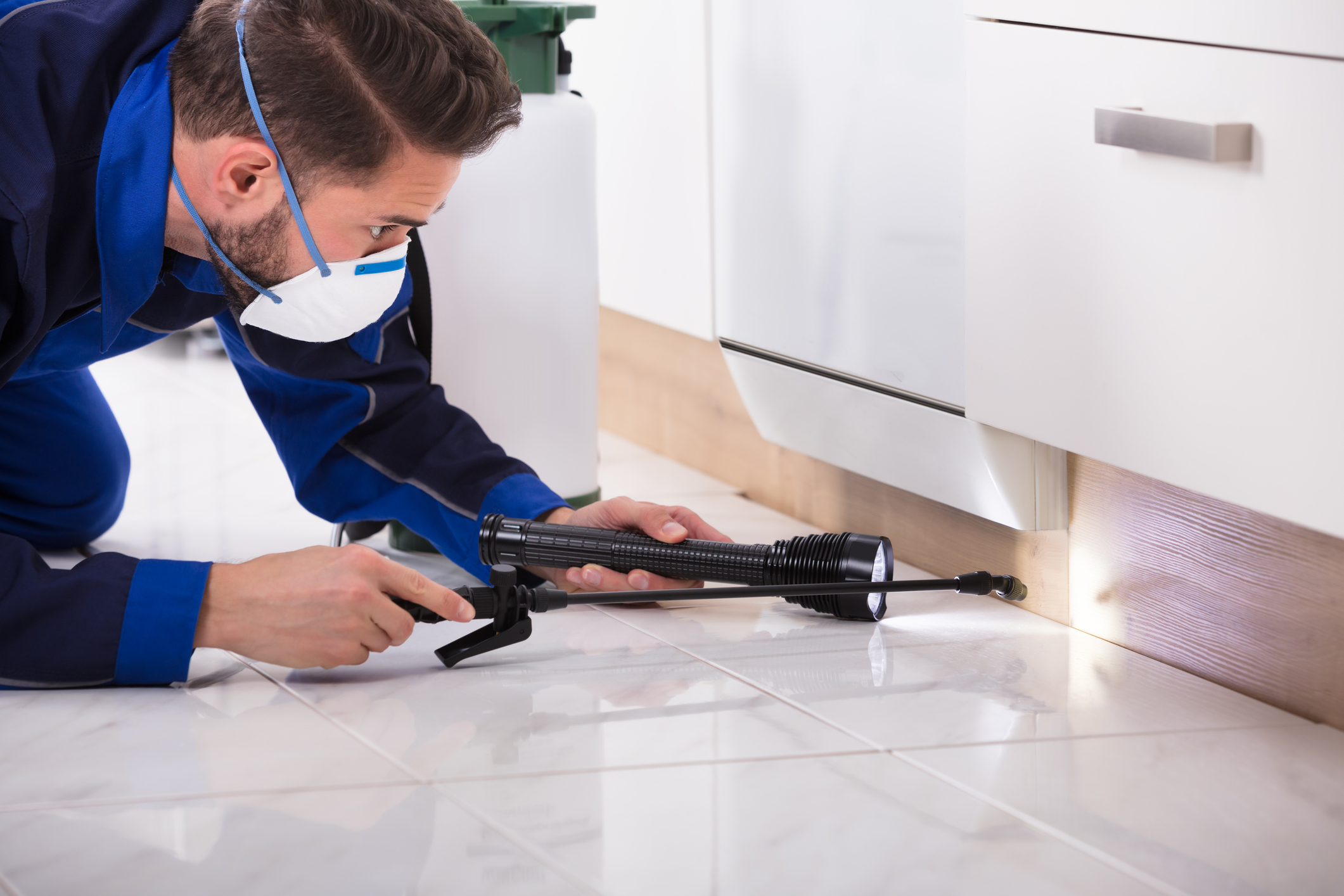 Residential Pest Control